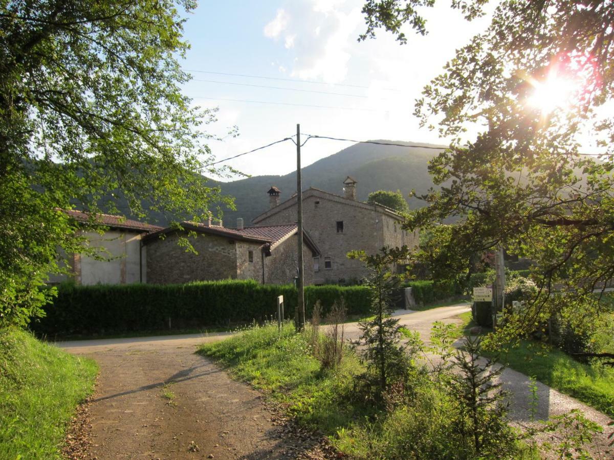 Mas El Llach La Vall de Bianya Extérieur photo